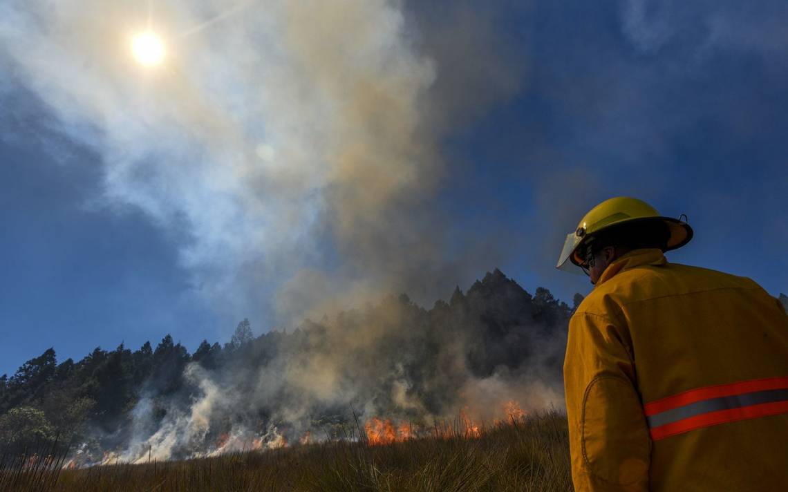 Altas Temperaturas En Veracruz Qué Afectaciones Tiene El Calor En La Entidad Veracruzana 3185